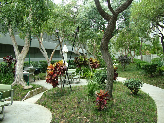 View to the Garden and the BBQ areas