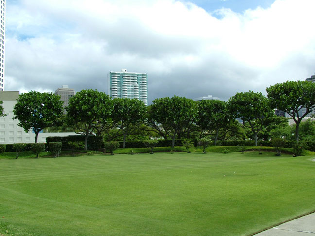 View of the Side Yard, with putting green.