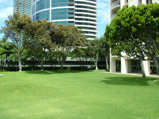 View of the Front Yard and the Nauru Condo