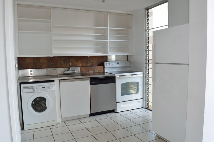 Kitchen with the Appliances