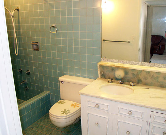 Bathroom, with Shower Stall