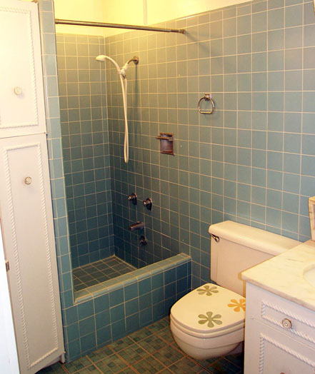 Bathroom, with Shower Stall
