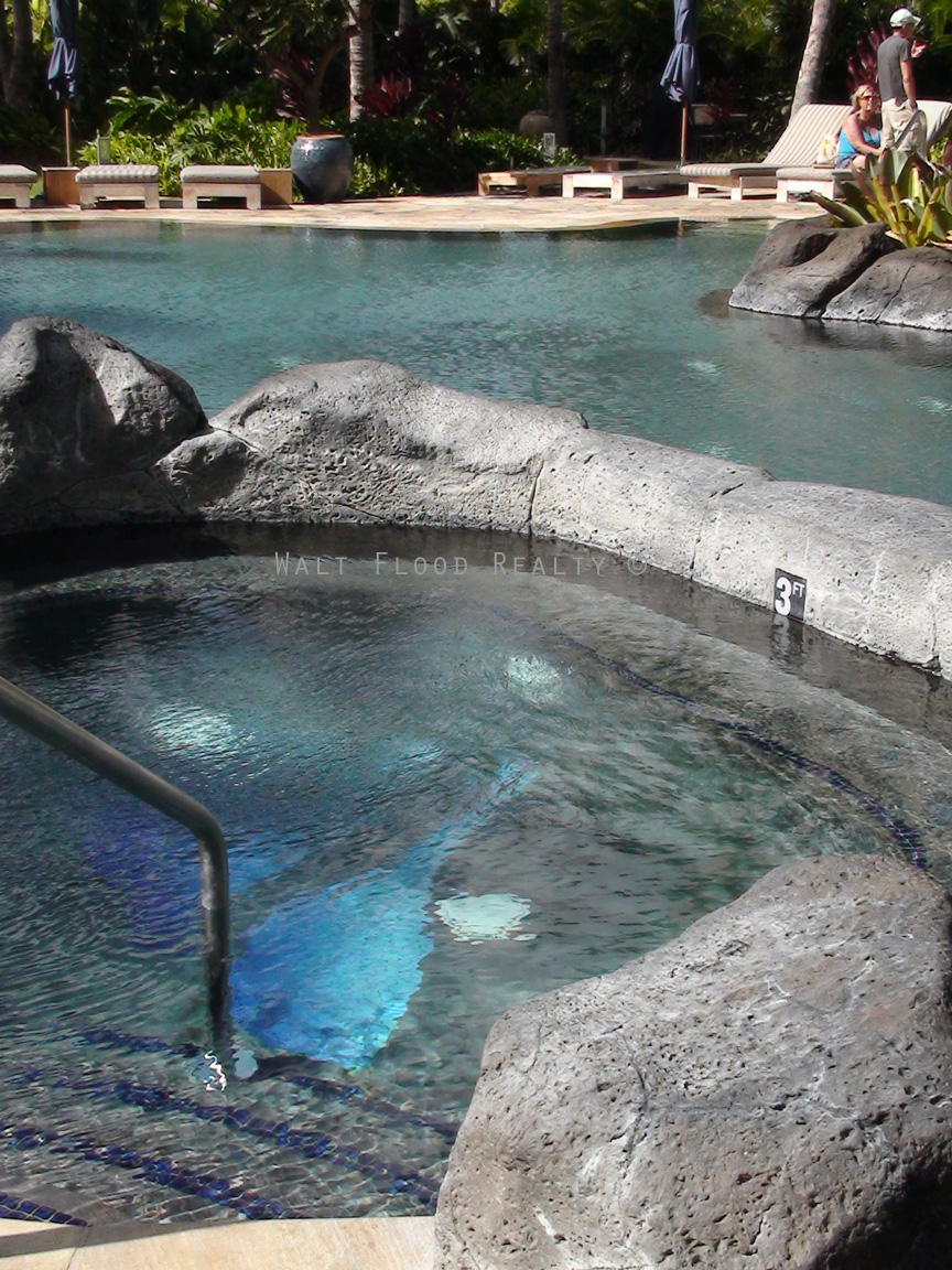 Free-form Swimming Pool and Jacuzzi Spa